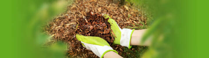 rindenmulch kategorieeinstiegsbanner rindenmulch kategorieeinstiegsbanner
